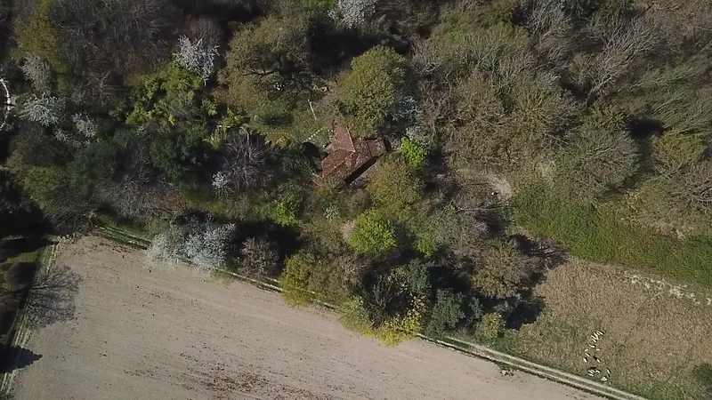 Terrain 4 pièces à Vully-les-Lacs — photo 2