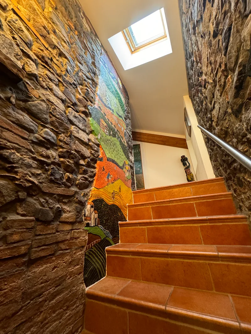 Maison / Villa 5.5 pièces à Melide — 7