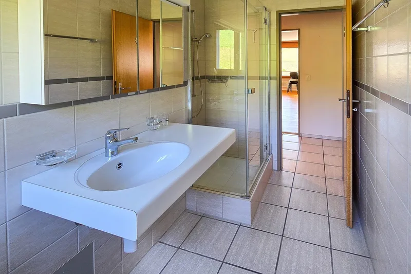 Appartement 4.5 pièces à Niederdorf — photo 4