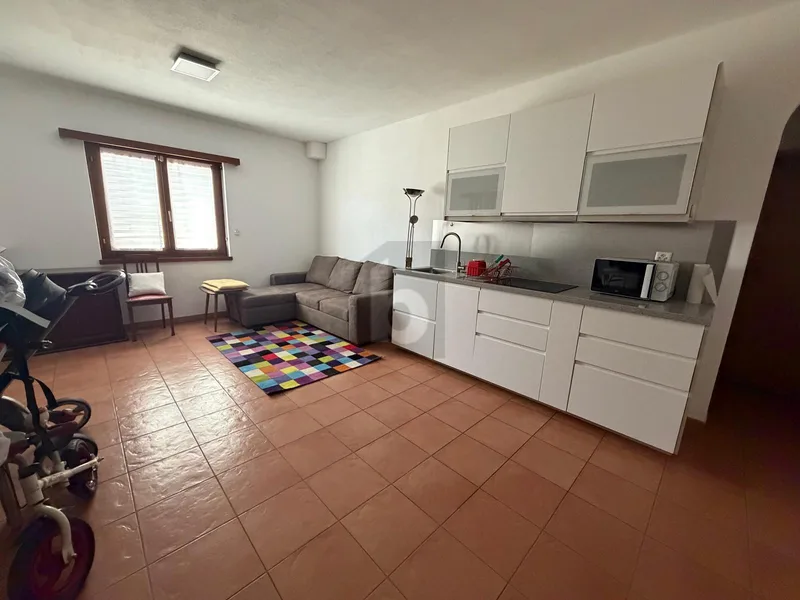 Maison / Villa 6.5 pièces à Bellinzona — 4