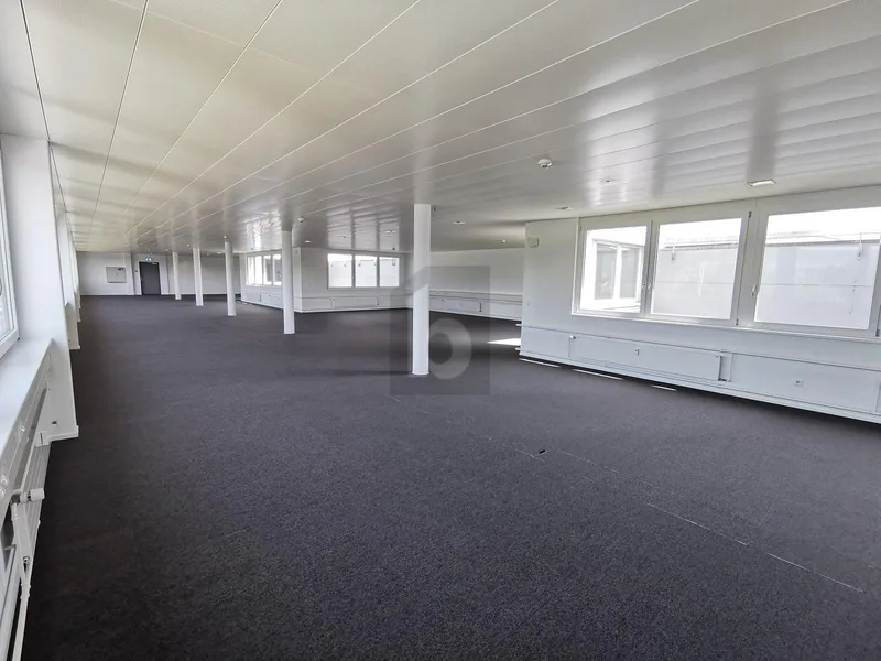 Commercial 1 rooms in Pratteln — 3