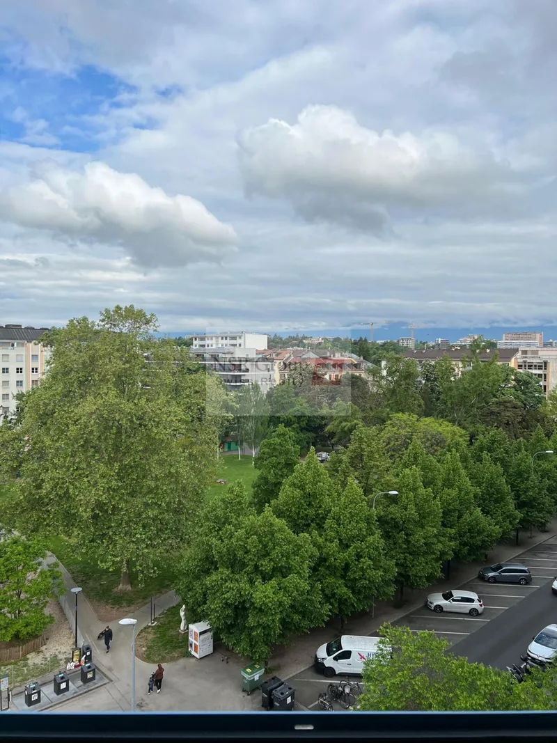 Wohnung 5 Zimmer in Carouge