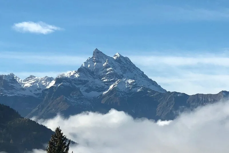 Maison / Villa 10 pièces à La Barboleuse — 8