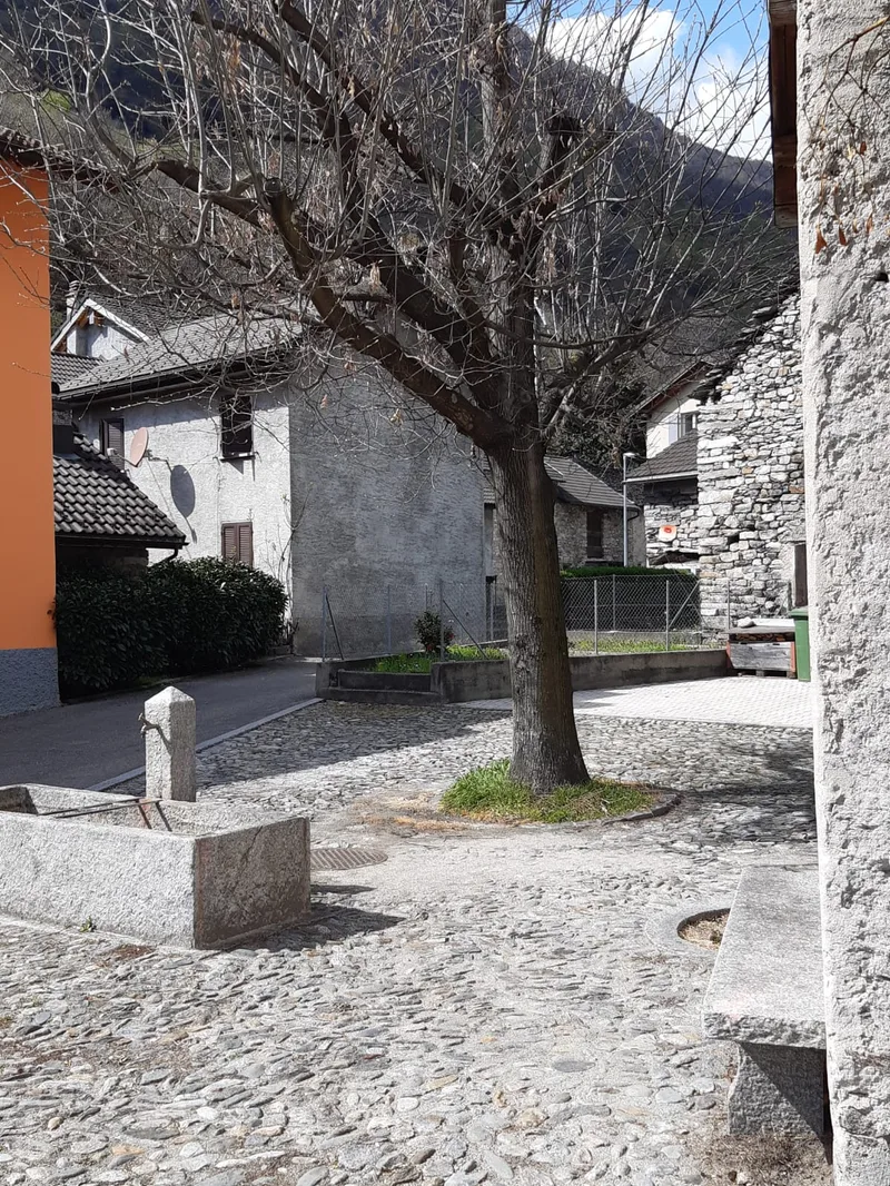 Maison / Villa 4.5 pièces à Riviera — photo 6