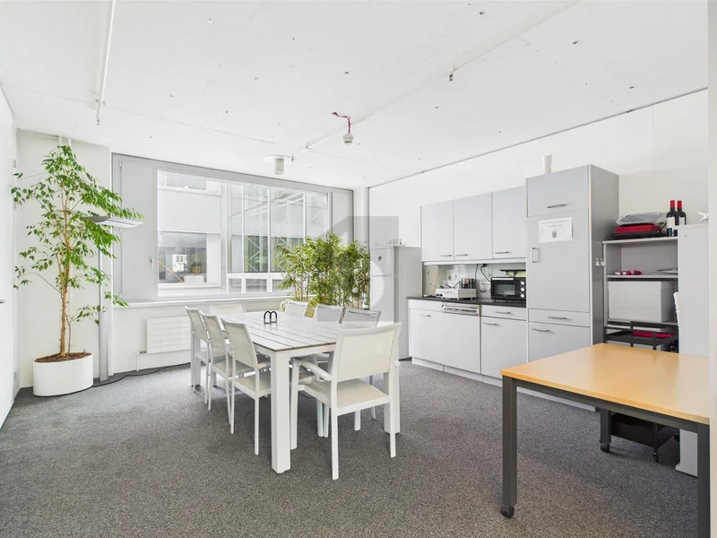 Gewerbe 12 Zimmer in Wallisellen — photo 5
