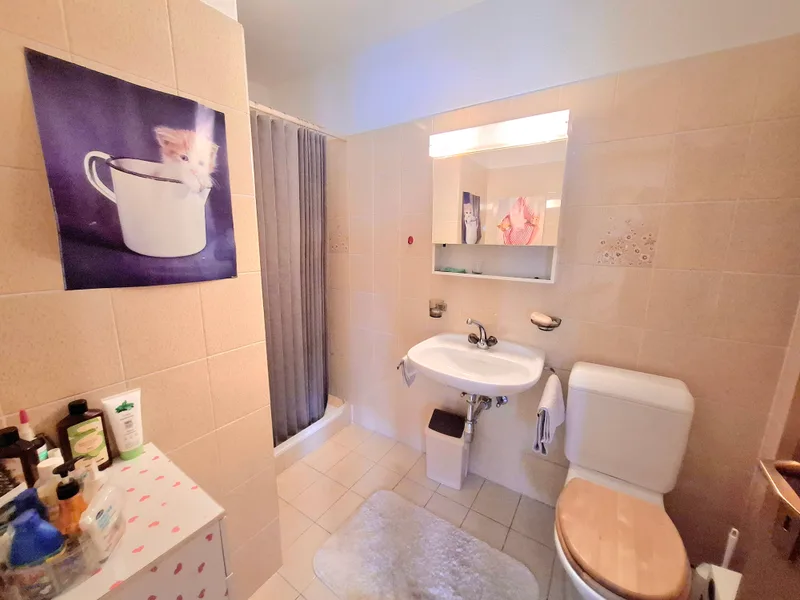 House / Villa 5.5 rooms in Bellinzona — 8