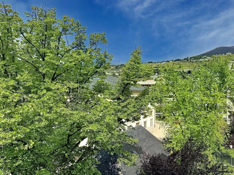Appartement 6.5 pièces à Sion — photo 20