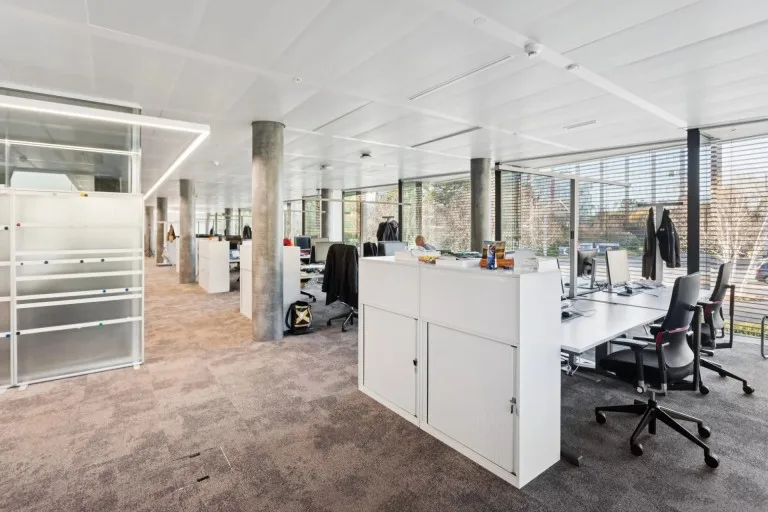Gewerbe in Genève — photo 8