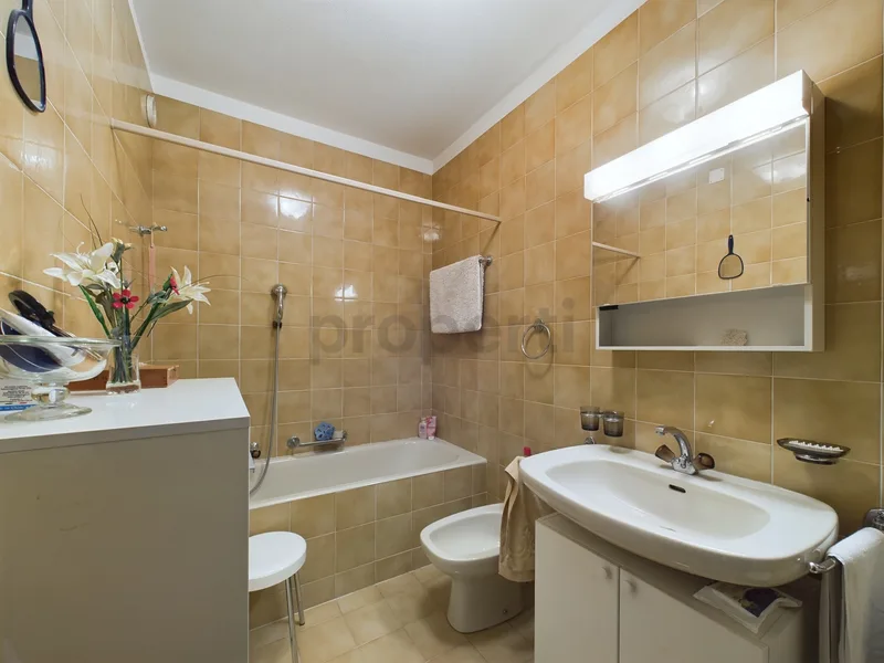 Appartement 3.5 pièces à Paradiso — 5