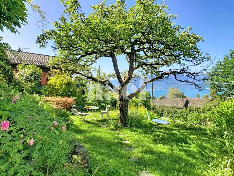 House / Villa 3.5 rooms in Blonay - Saint-Légier