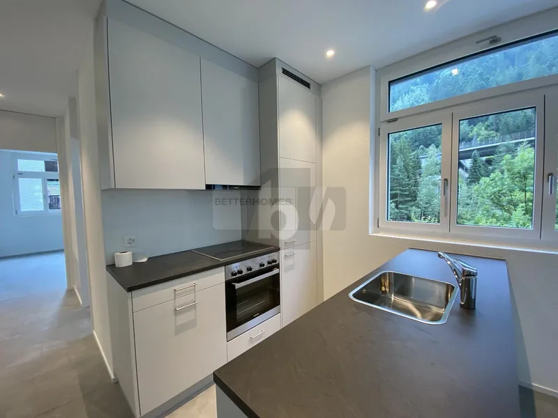 Appartement 2.5 pièces à Gurtnellen — 2