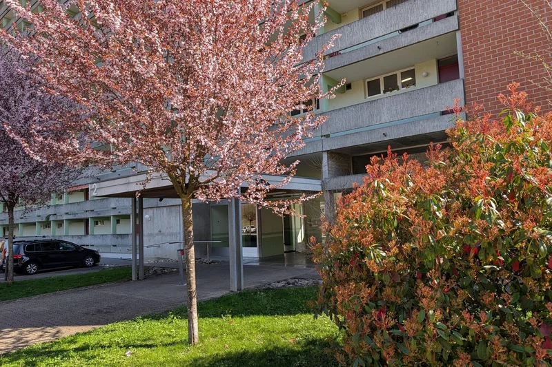 Wohnung 6 Zimmer in Weiermatt