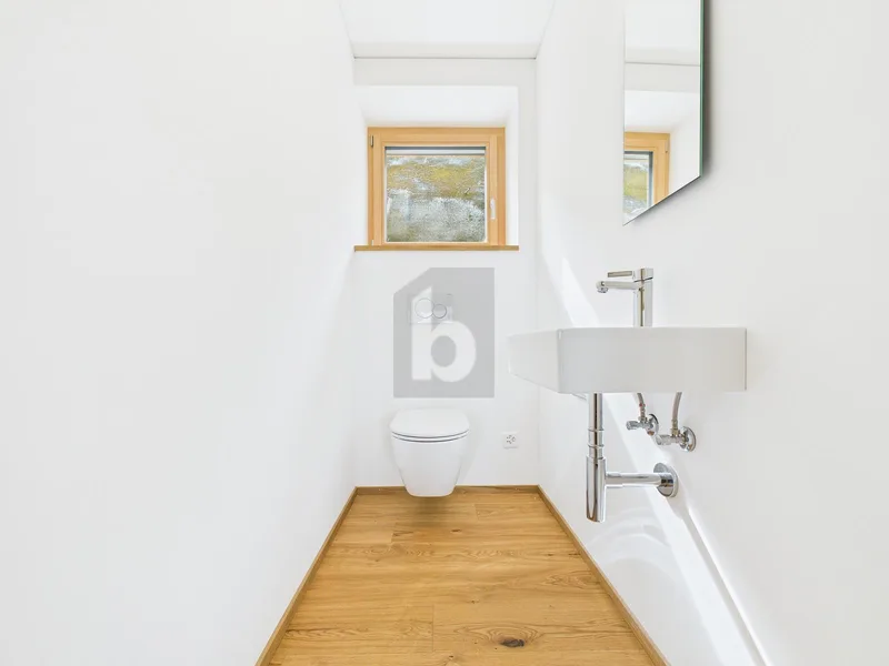 Gewerbe 2 Zimmer in Sankt Margrethen — photo 4