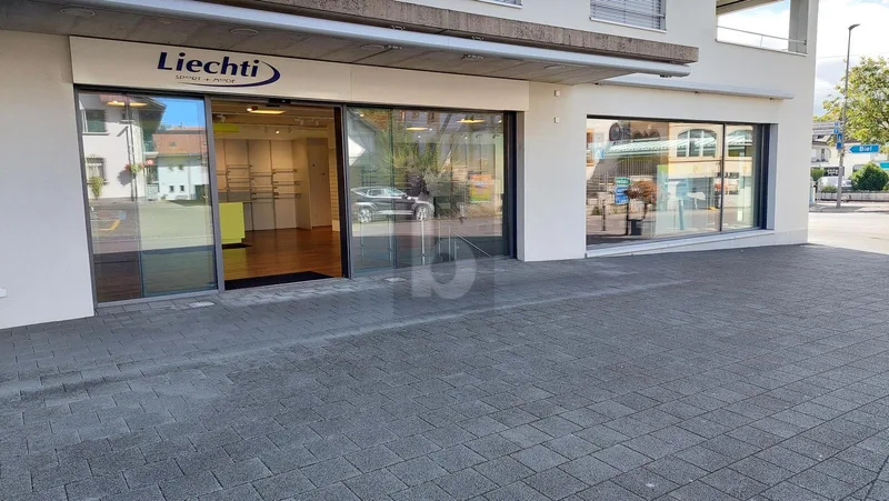 Gewerbe in Ins
