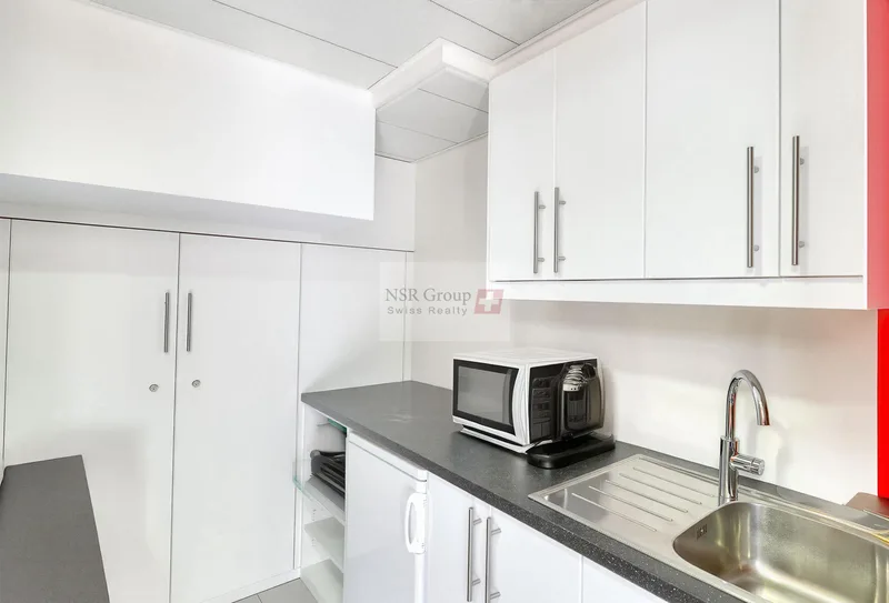 Commercial 16 rooms in Geneva — 3