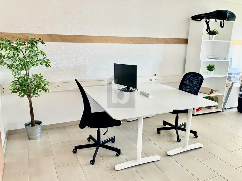 Gewerbe 5.5 Zimmer in zentral