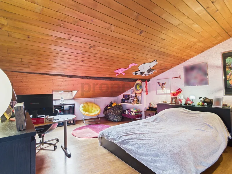Haus / Villa 11 Zimmer in Grandvaux — 5