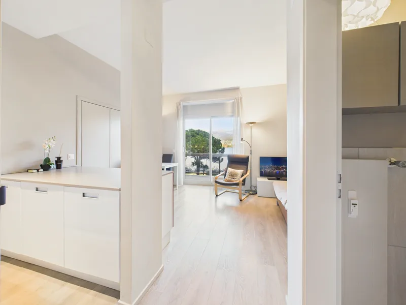 Appartement 1.5 pièces à Paradiso — 10