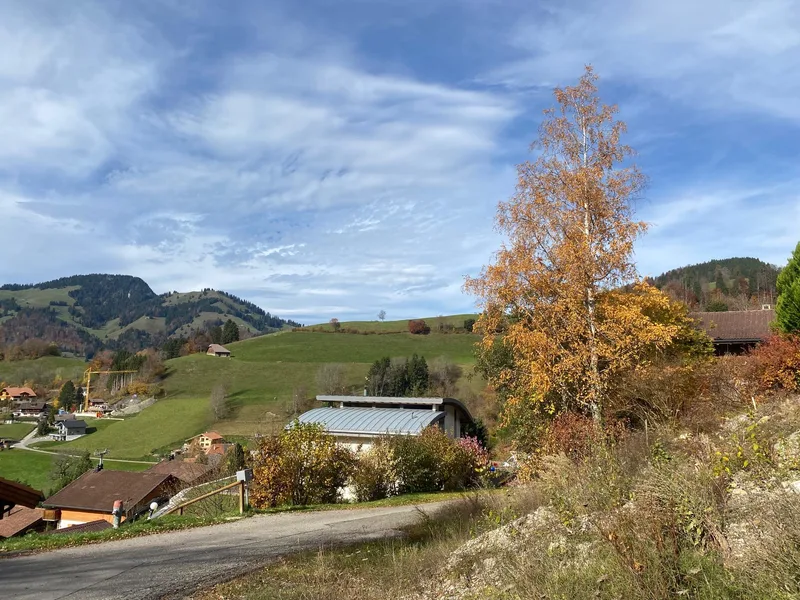 Terrain à Val-de-Charmey — photo 3