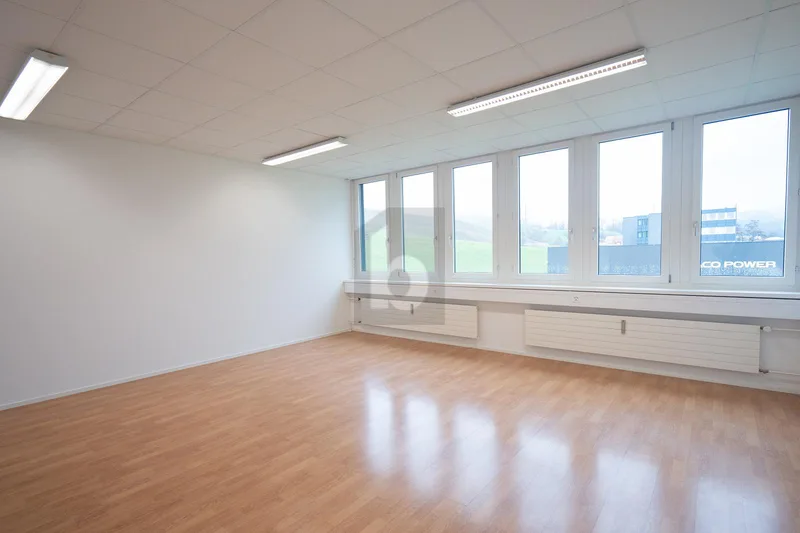Gewerbe 12 Zimmer in Sihlbrugg — photo 5
