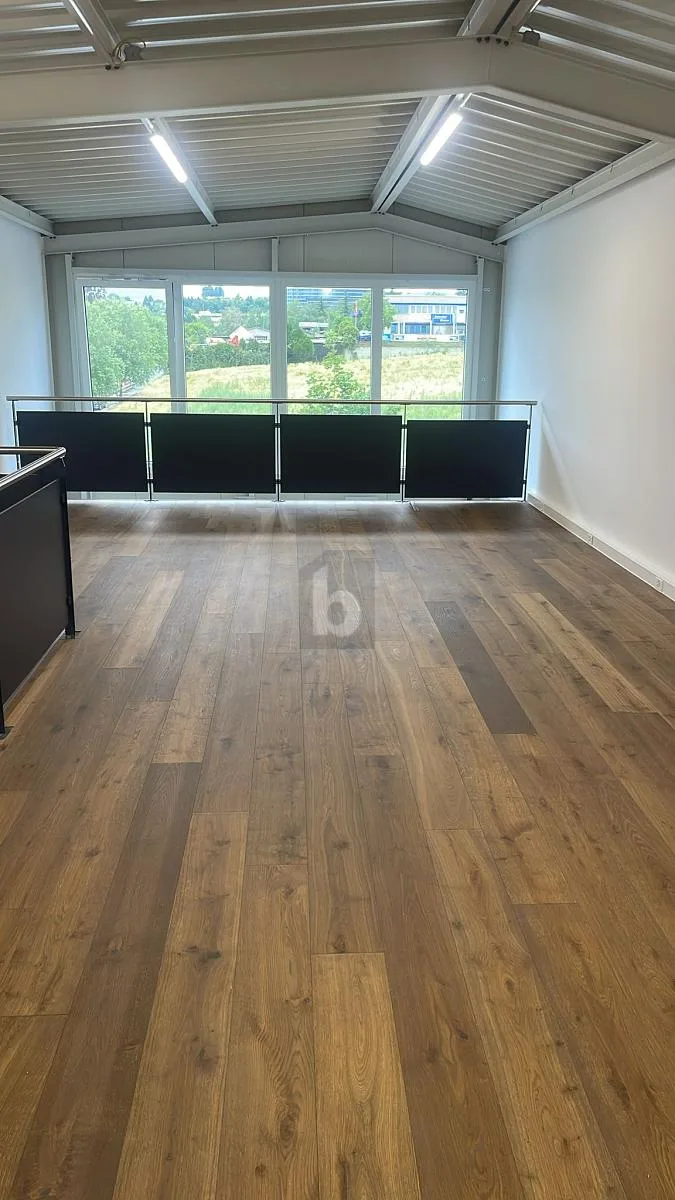Commercial 2 rooms in Crissier — 4