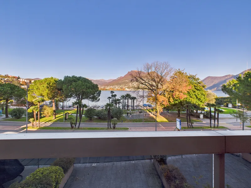 Appartement 1.5 pièces à Paradiso — 9