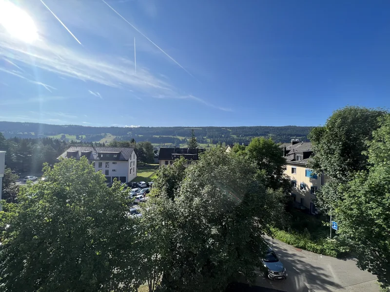 Commercial in Le Chenit