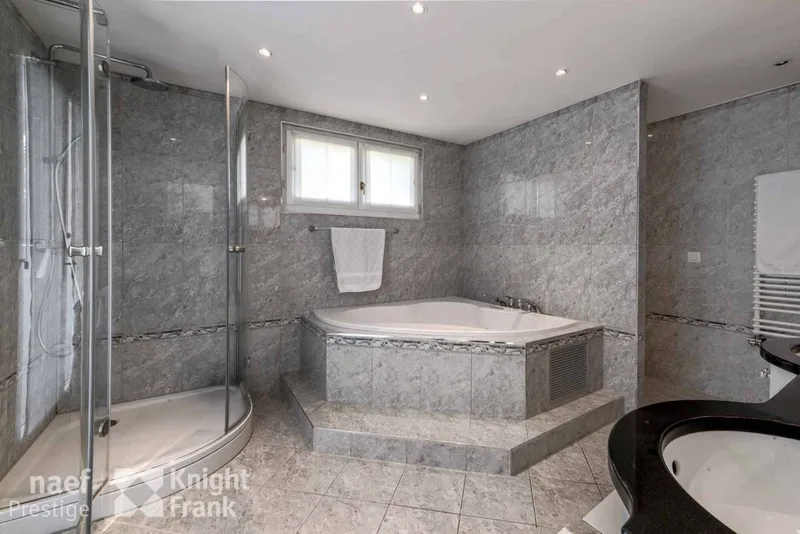 Maison / Villa 9.5 pièces à Blonay - Saint-Légier — 19