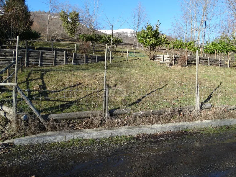 Land in Miglieglia — photo 4