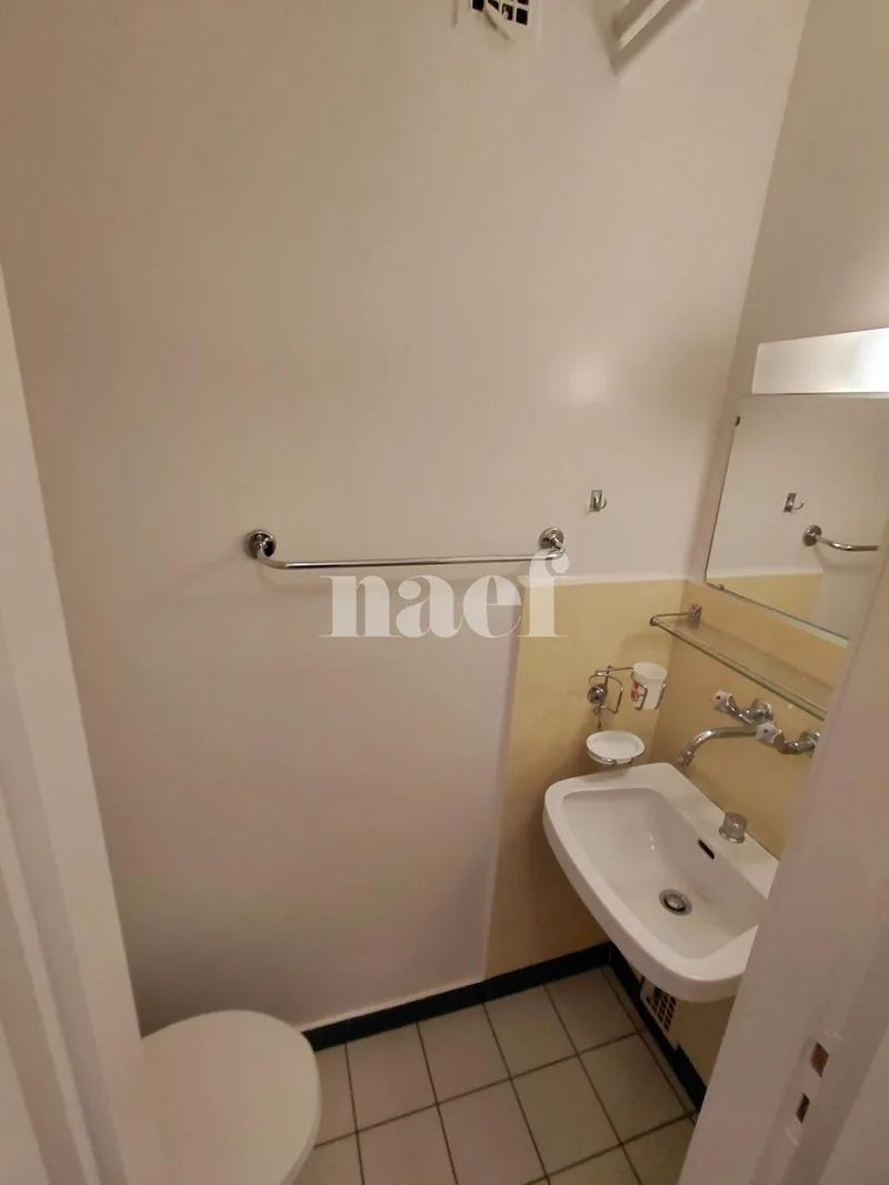 Apartment 1 rooms in Vevey — 7