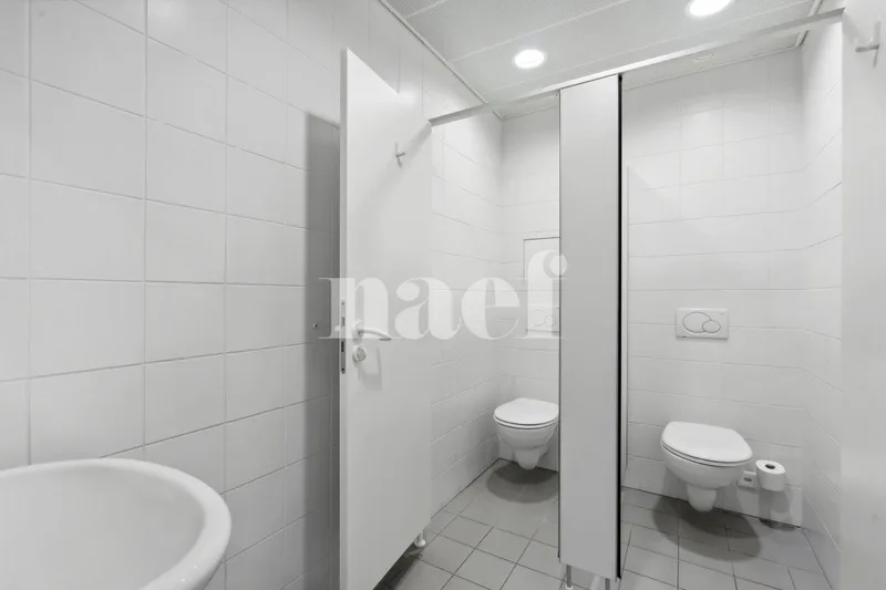 Gewerbe 5 Zimmer in Nyon — 7