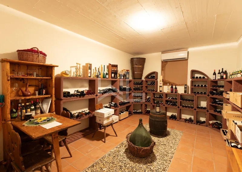 Maison / Villa 8 pièces à Féchy — photo 22