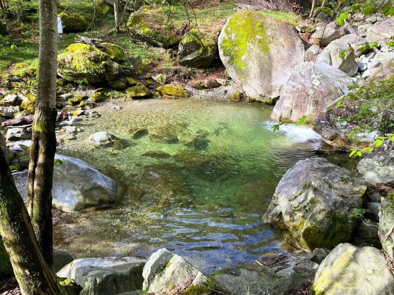Terrain 10 pièces à Giornico — photo 2