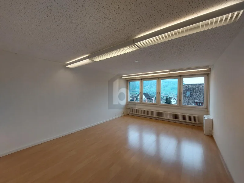 Gewerbe 4 Zimmer in Schwyz