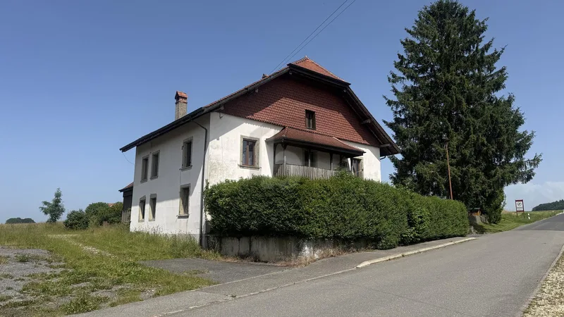 Haus / Villa 12 Zimmer in Chavannes-le-Chêne