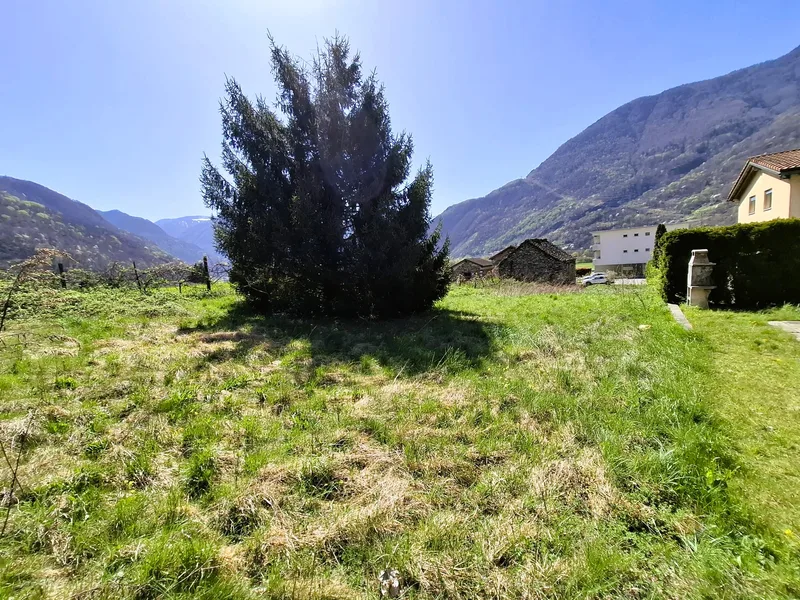 Terrain à Claro