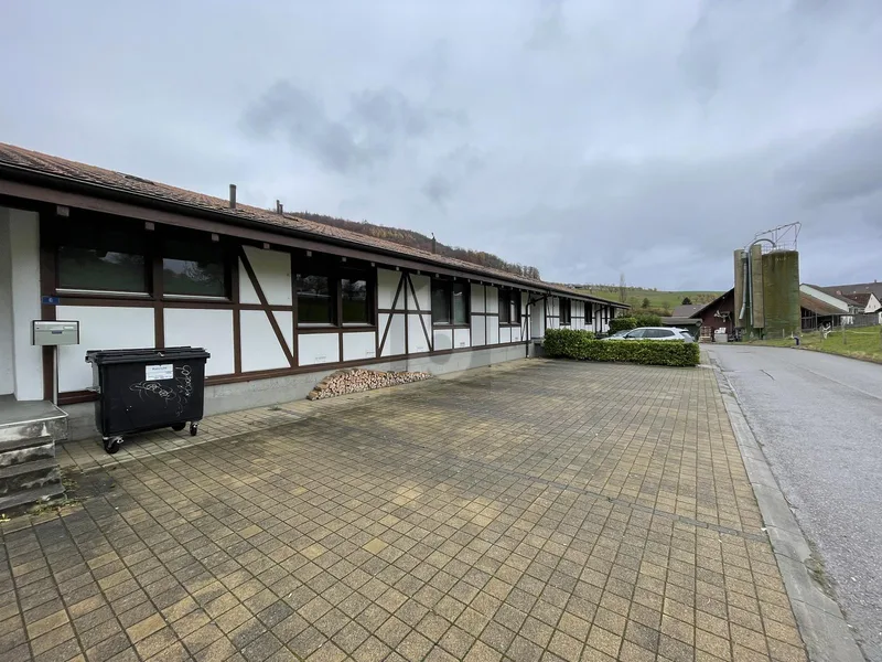 Commercial 1 rooms in Arisdorf — 2