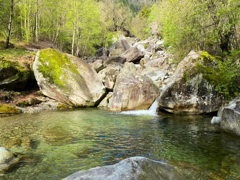Terrain 10 pièces à Giornico — photo 3
