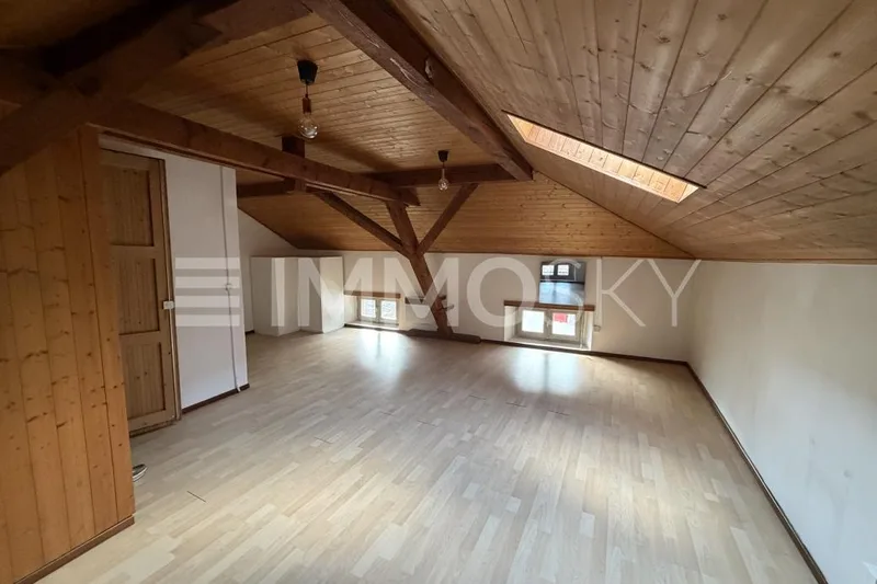 House / Villa 7 rooms in Bellinzona — 4