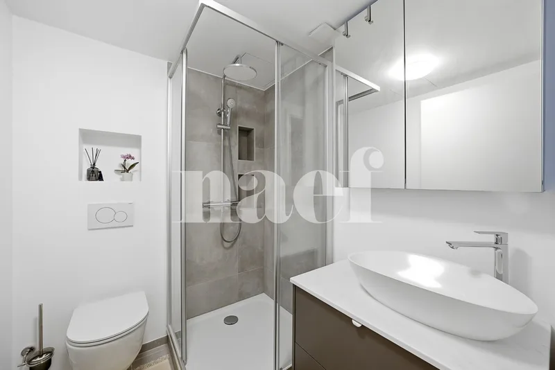 Haus / Villa 6 Zimmer in Troinex — photo 13