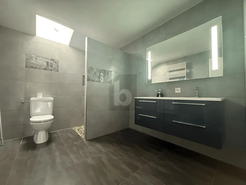 Haus / Villa 10 Zimmer in Montavon — 5