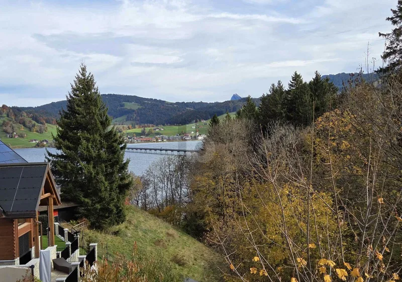 Maison / Villa 6.5 pièces à Einsiedeln
