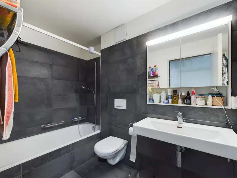 Wohnung 4.5 Zimmer in Holzpark — photo 6