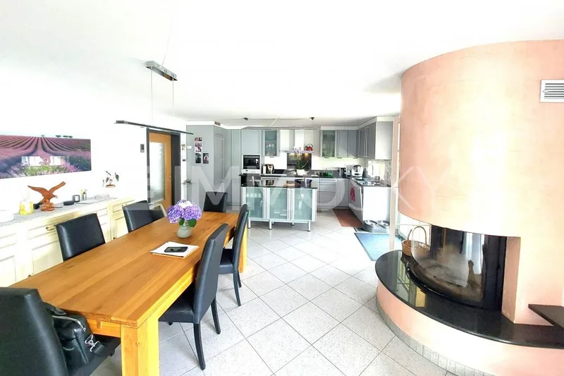 House / Villa 7.5 rooms in Bellingzonese