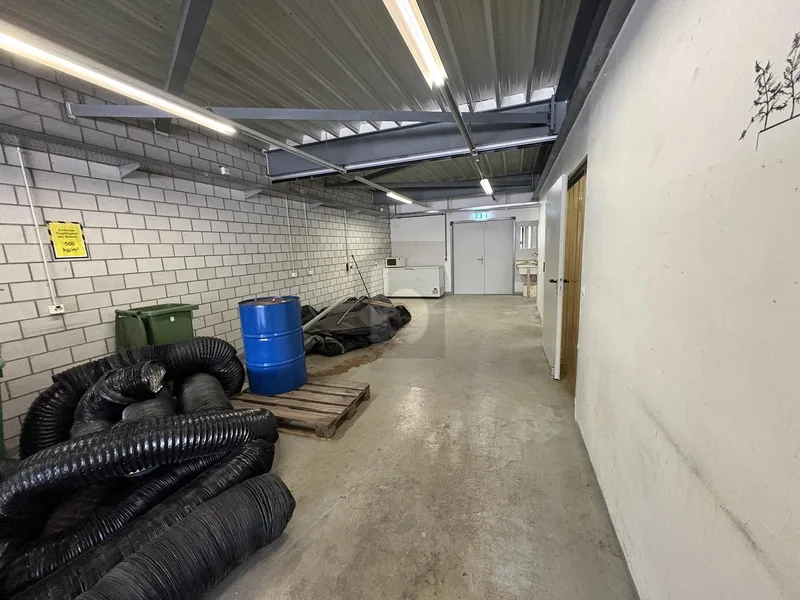 Commercial 4 rooms in Life-Center Rüti — 3
