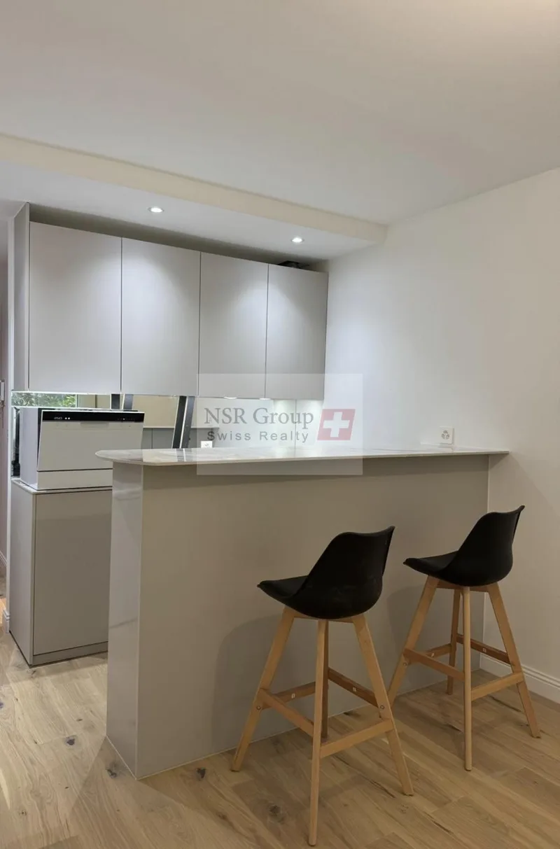 Apartment 1 rooms in Geneva
