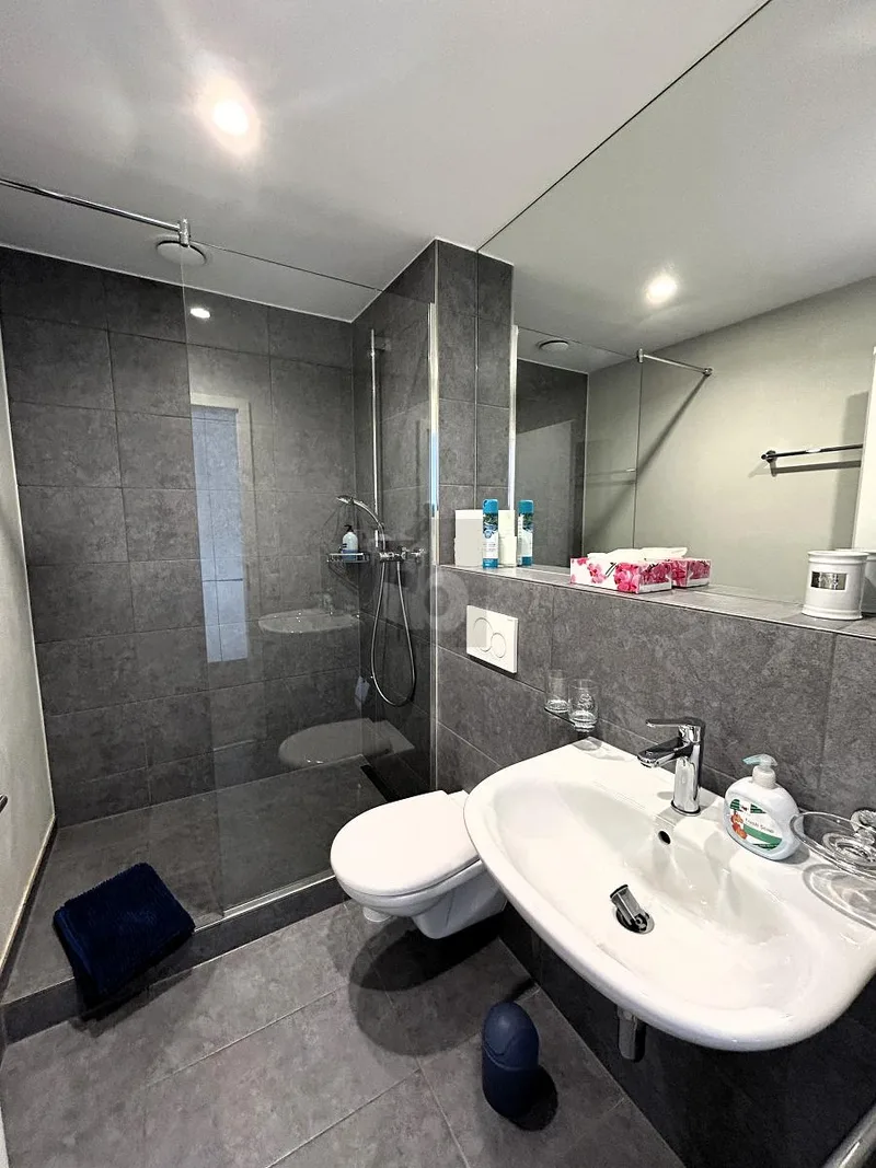 Wohnung 2.5 Zimmer in Brissago — photo 5
