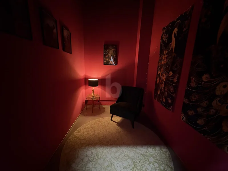 Commercial 6 rooms in Freienbach — 4