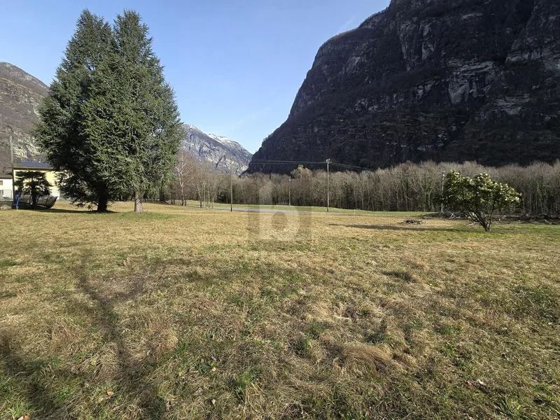 Terrain à Cevio — photo 5