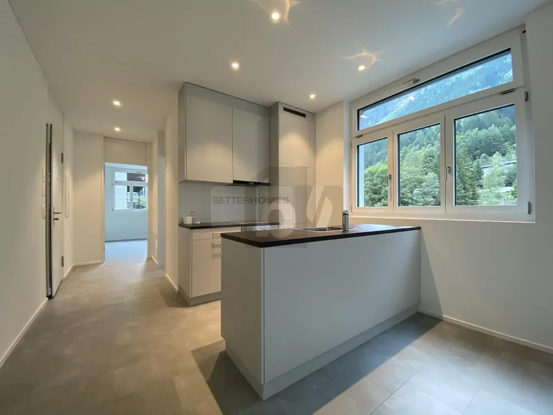 Appartement 2.5 pièces à Gurtnellen — 4